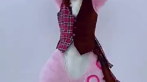 あくあ色パレット ⧸ 湊あくあ