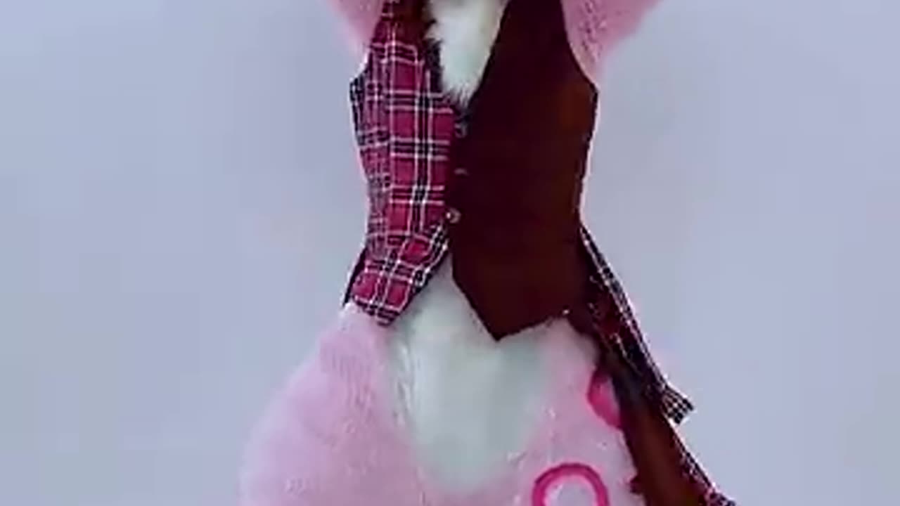 あくあ色パレット ⧸ 湊あくあ