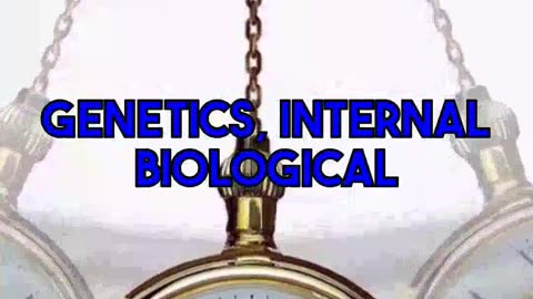 Astrology and Exercise: Examining Zodiac-Based Fitness Claims
