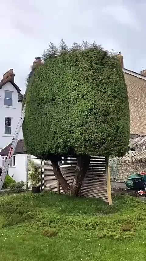 _love _travel _edm _cleaning _landscape