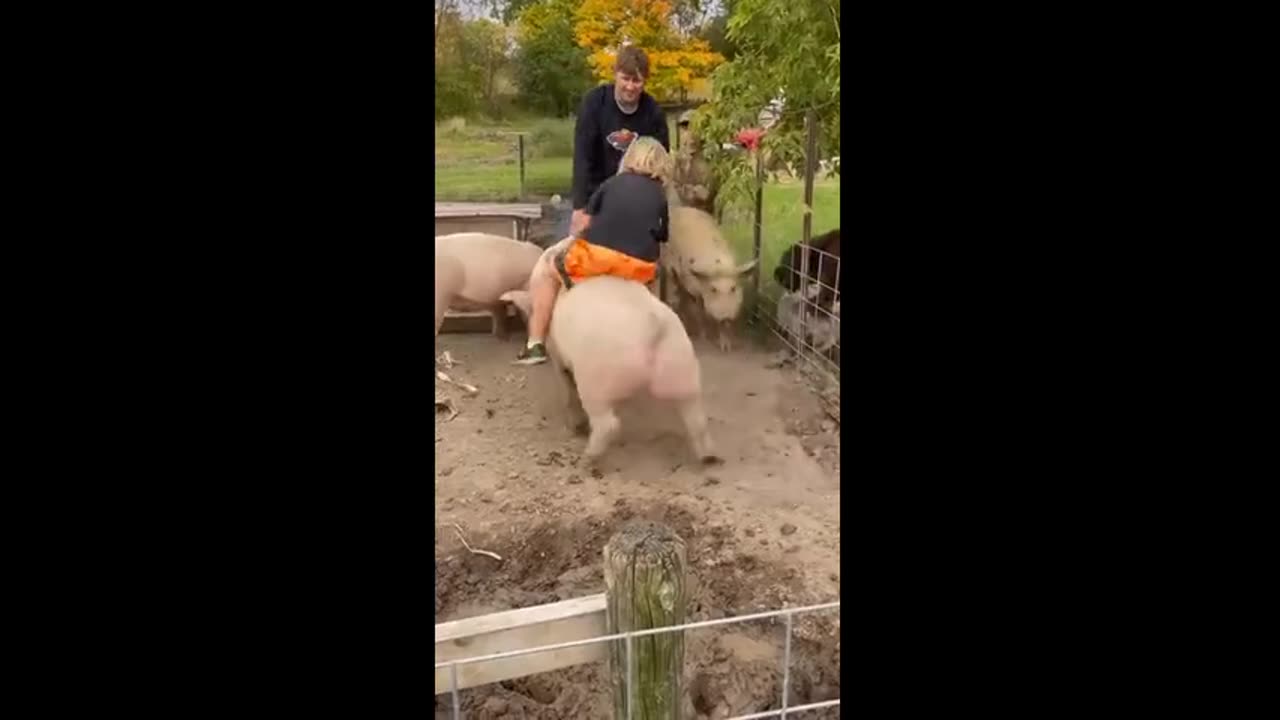 I Replayed This 10 Times and Still Cried Laughing 🤣🔁