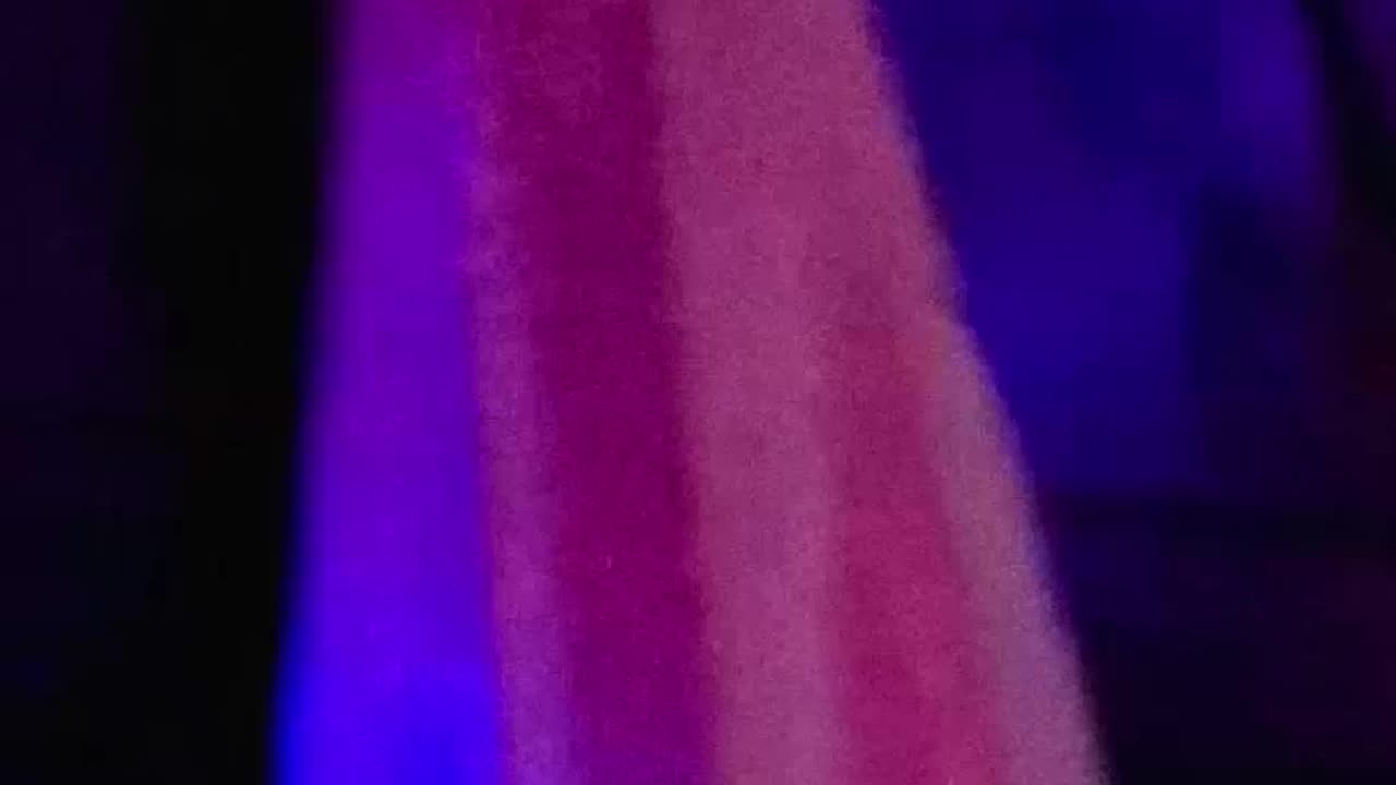 SCREAMER HOUSE TOUR SHORT