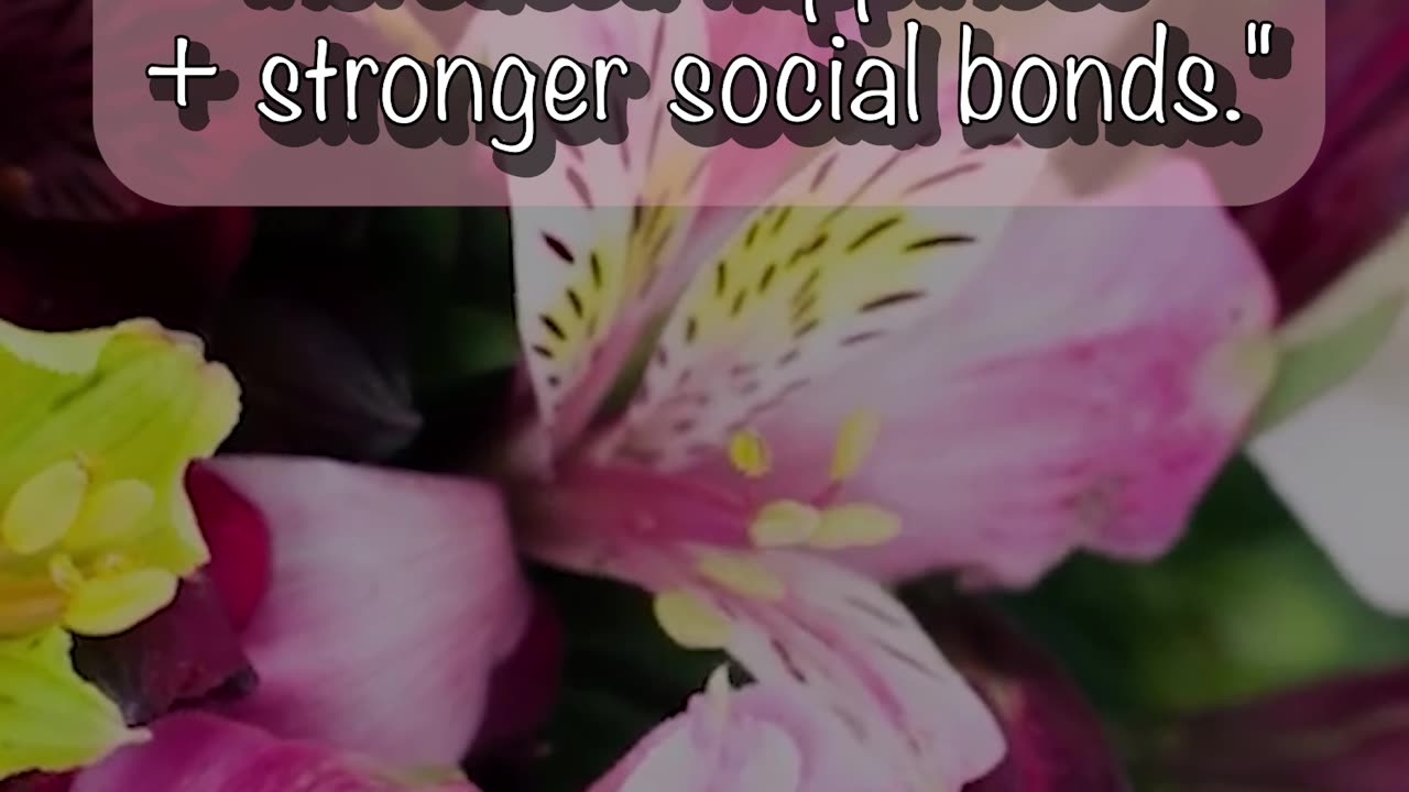 💥 Why Kindness Might Be the Most Powerful Motivational Tool You've Overlooked