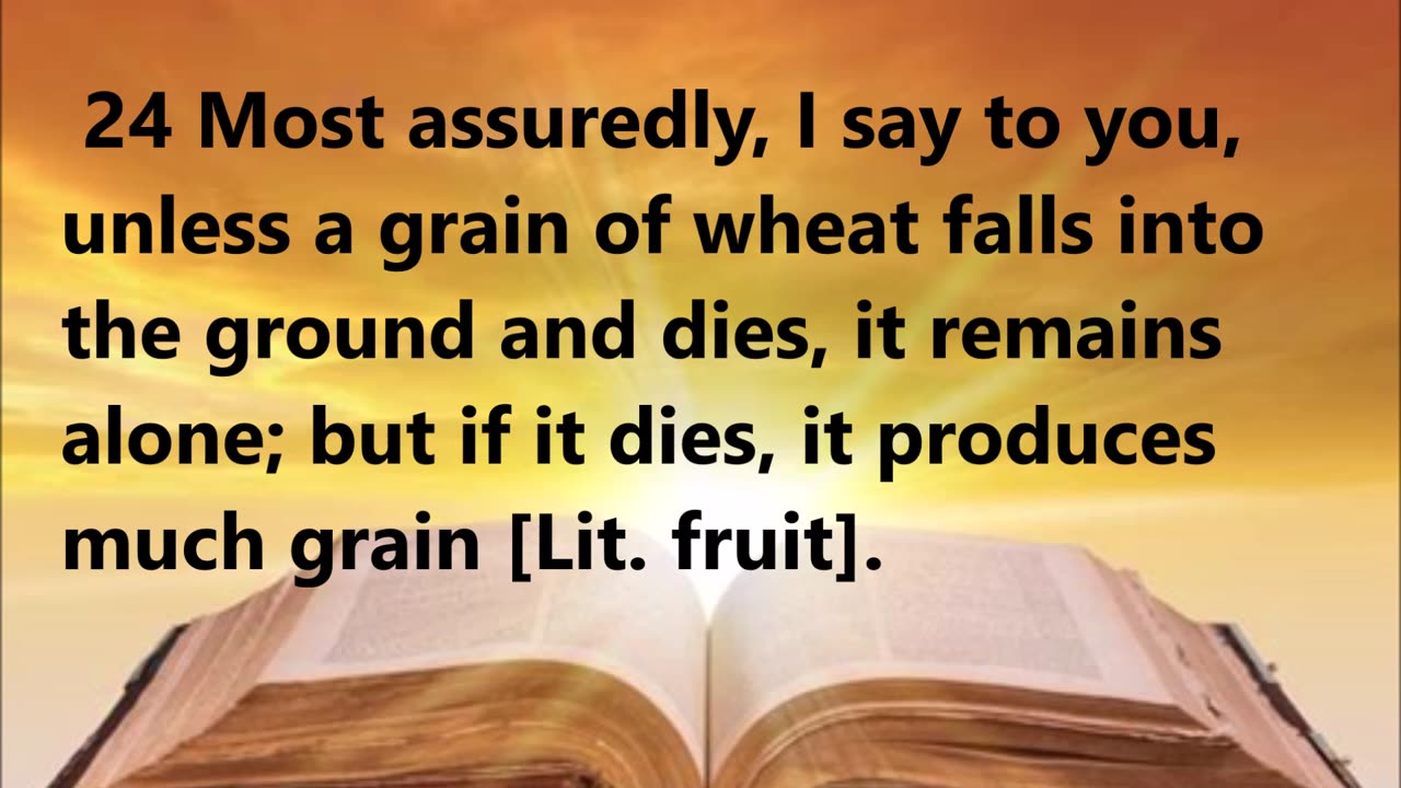 The Fruitful Grain of Wheat