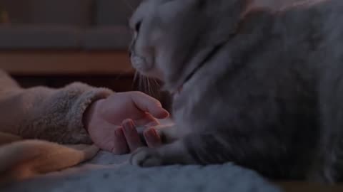 Cat is best friend in the world