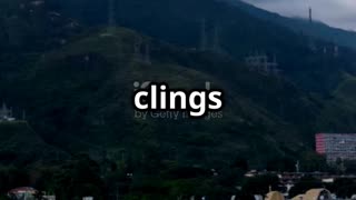 Trump's VOA Shutdown: A Strategic Blunder