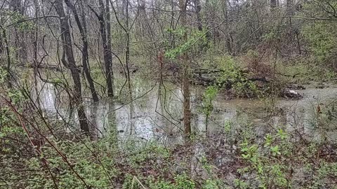 Rain, Rain, Go Away. Come Again Another Day