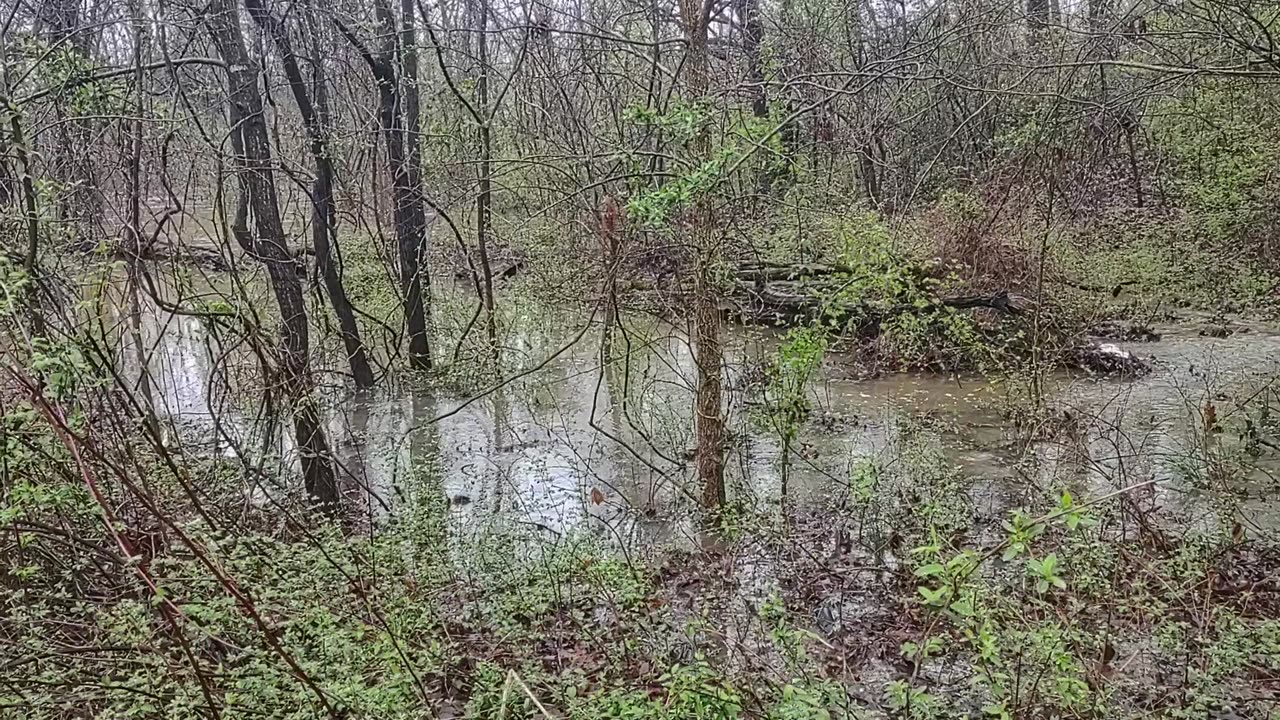 Rain, Rain, Go Away. Come Again Another Day