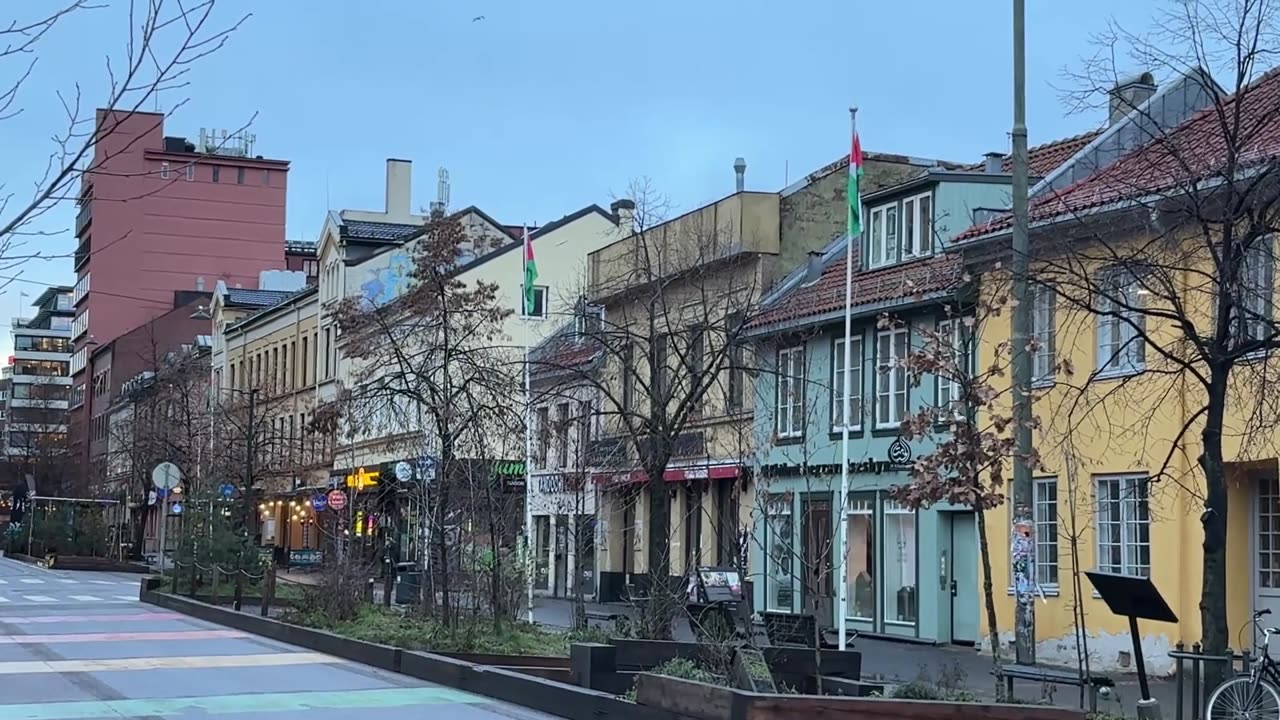 The Christmas decorations has been replaced with Palestine flags.