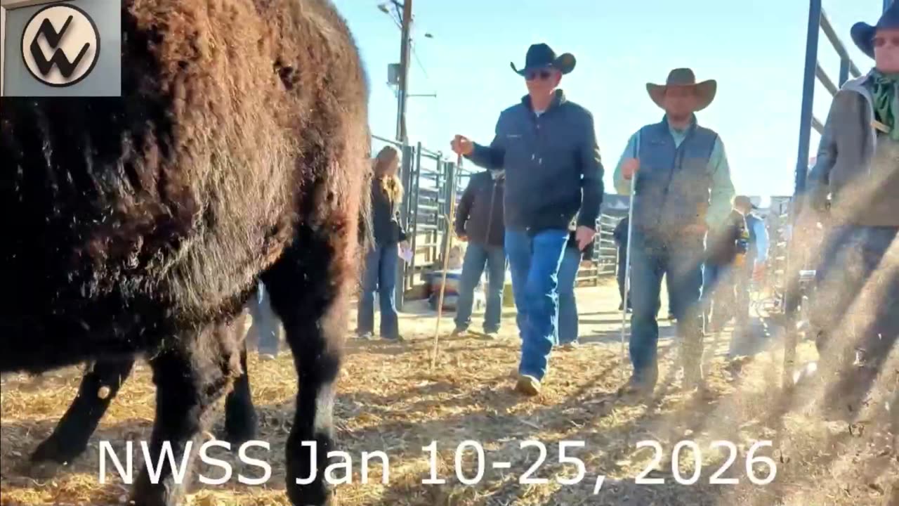 Trent Loos in the Morning - 8/06/2025