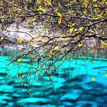 The water in Jiuzhaigou is so clear that it can reflect the sou