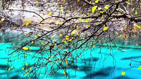 The water in Jiuzhaigou is so clear that it can reflect the sou