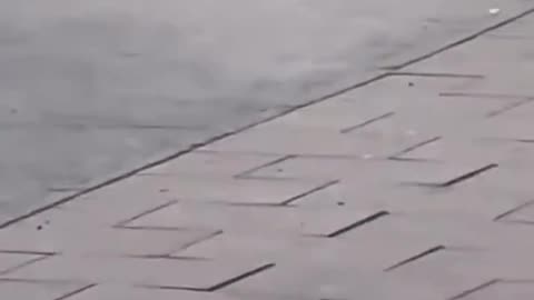 This is Germany.