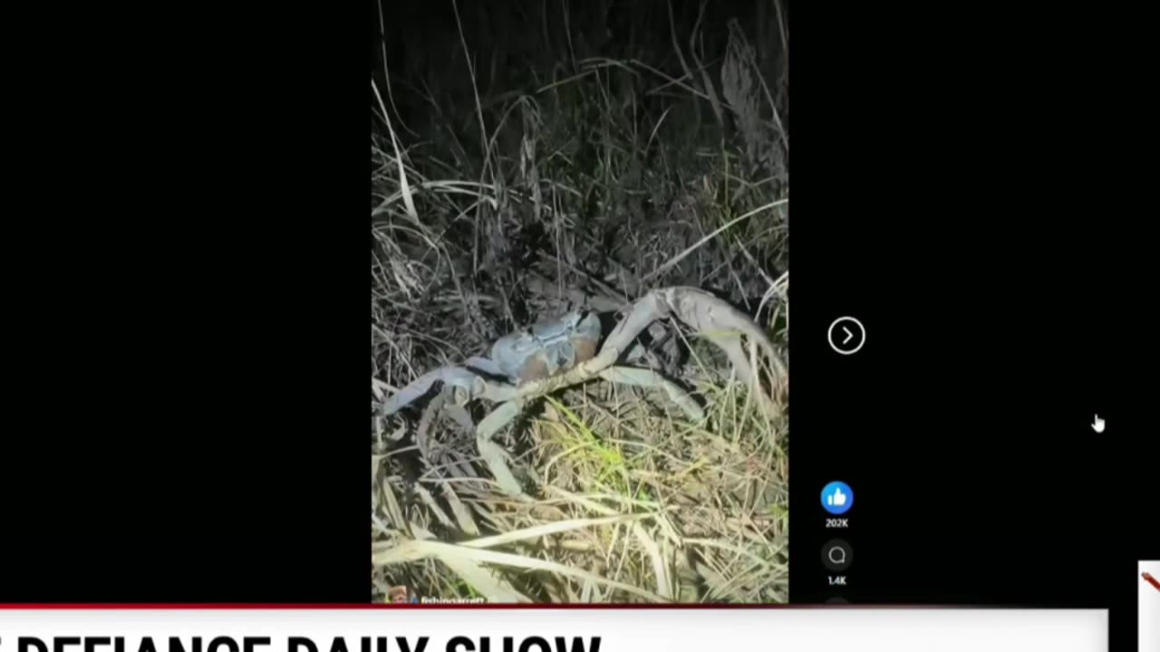 Rejecting Spiders, Amphibians & Crabs? TikTok Wildlife Madness!