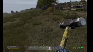 DayZ PVE