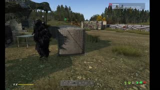 DayZ PVE