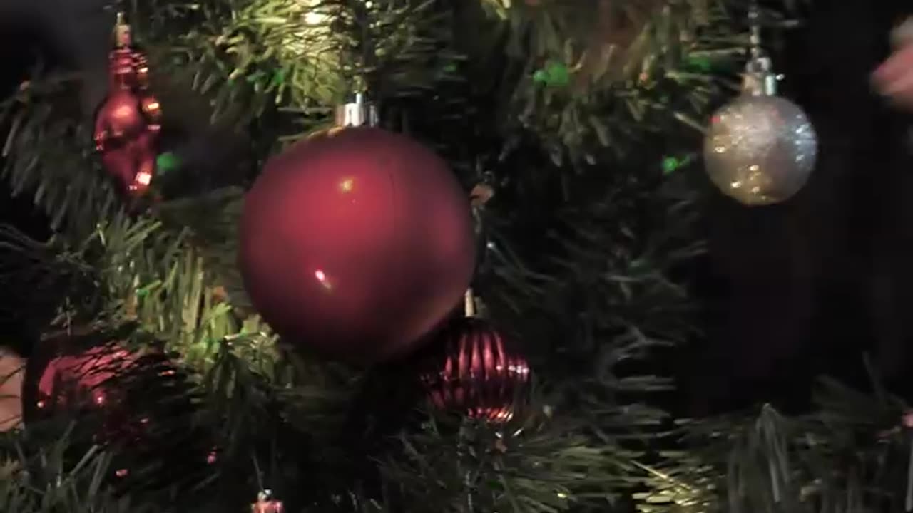 Woman decorates Christmas tree at home