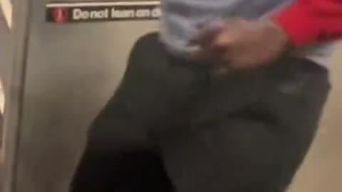 It would take a Daniel Penny on every carriage to travel safely.