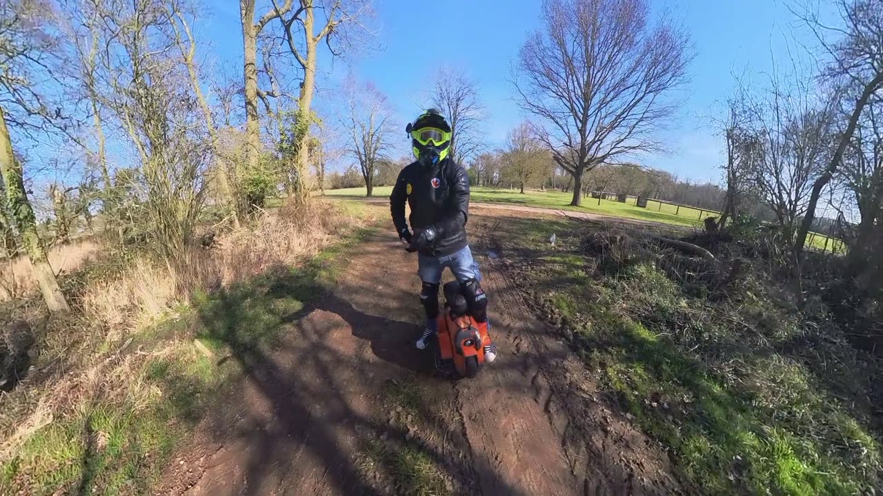 Springtime Park-Park cruise