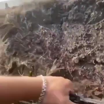 Pure Chaos After Russian Assault Group Hitting MInes(Insane)