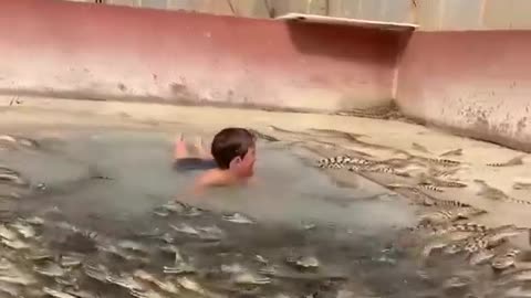 Kid swimming with hundreds of crocodiles