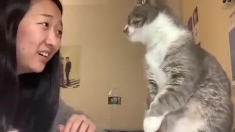 girls cat smacks her in the face when she tried to talk to him