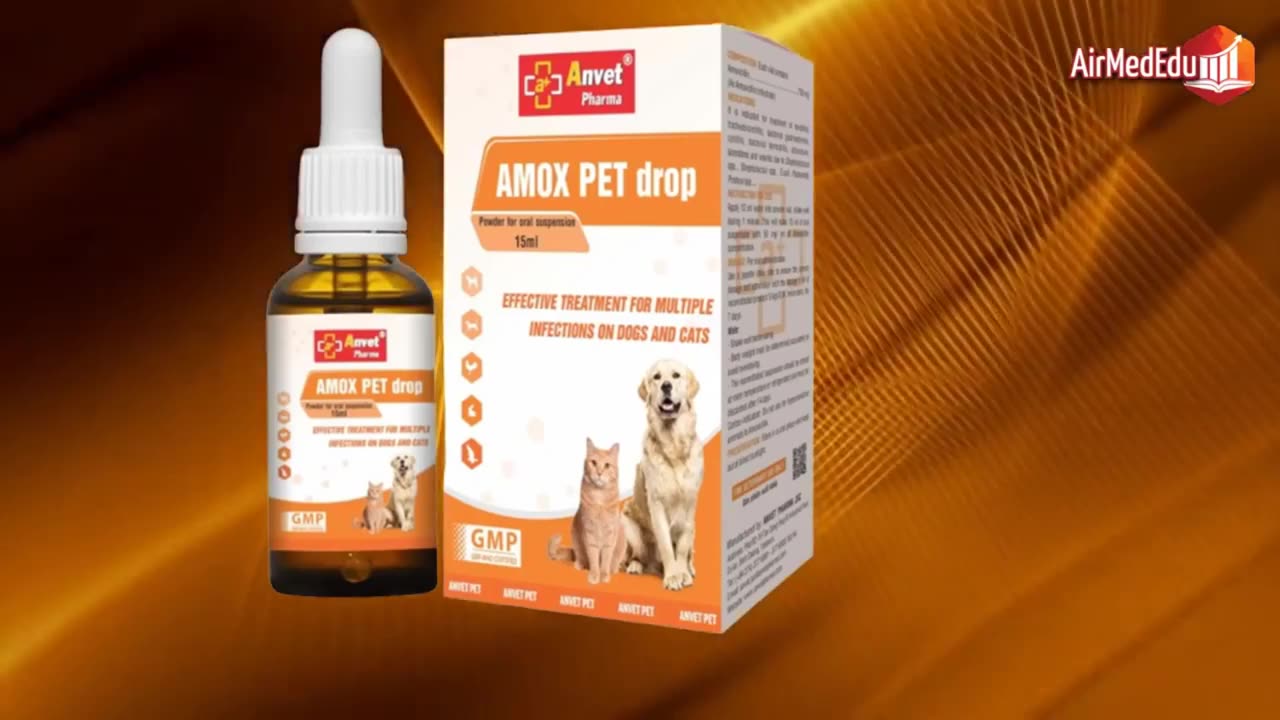 Melhores antibióticos para cães