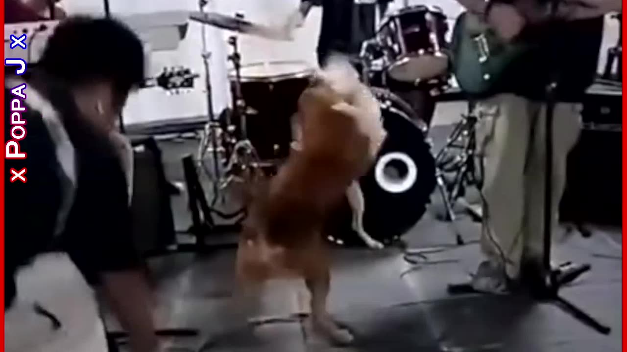 Don’t Stop Rockin’ 🎸