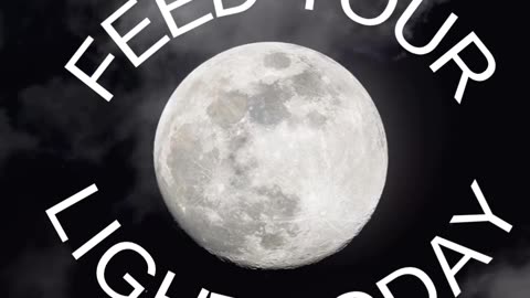 Feed your light