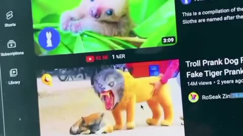 How Animals Get Over a Fence (With Emojis) 😂