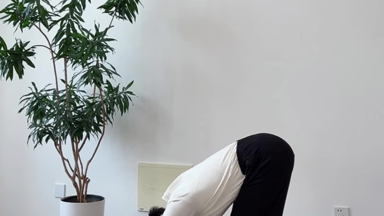 694.通督脉练腰劲