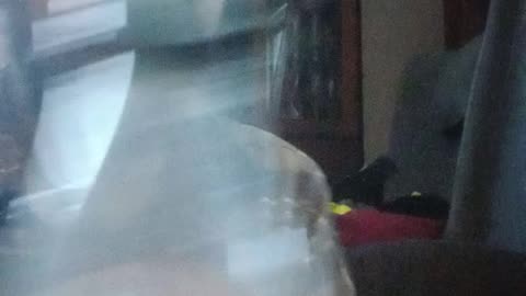 How to do the cap in bottle trick revealed