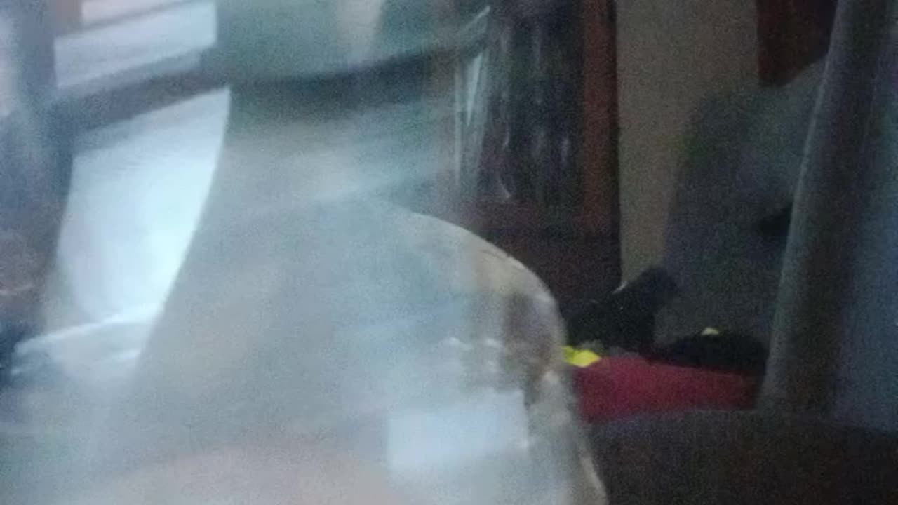 How to do the cap in bottle trick revealed