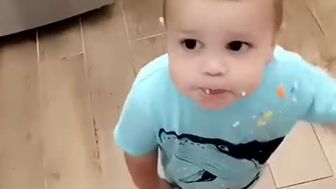 Kiddo Wants to Share Whipped Cream with Corgi || ViralHog