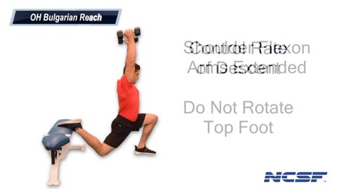 US Sports Partner Spotlight: The National Council On Strength And Fitness