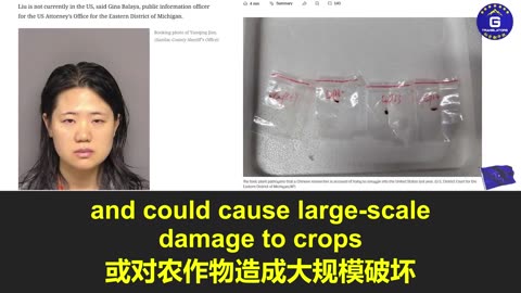 中共生物战“灭白”阴影再现！ 与密歇根大学合作的中国科研人员接连因非法携带生物样本在美被捕，引发美国国家安全担忧!