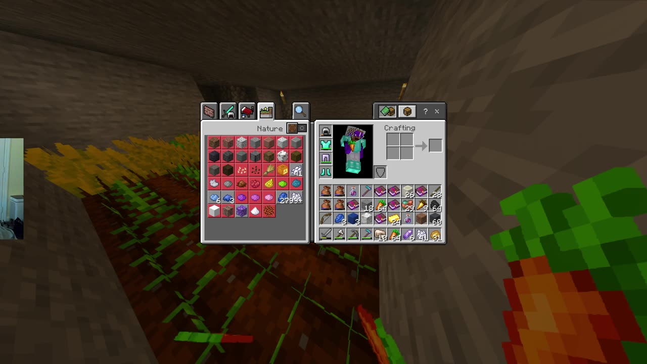 Playing Minecraft on my private server