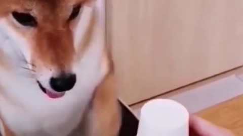 make name and description variations for this video