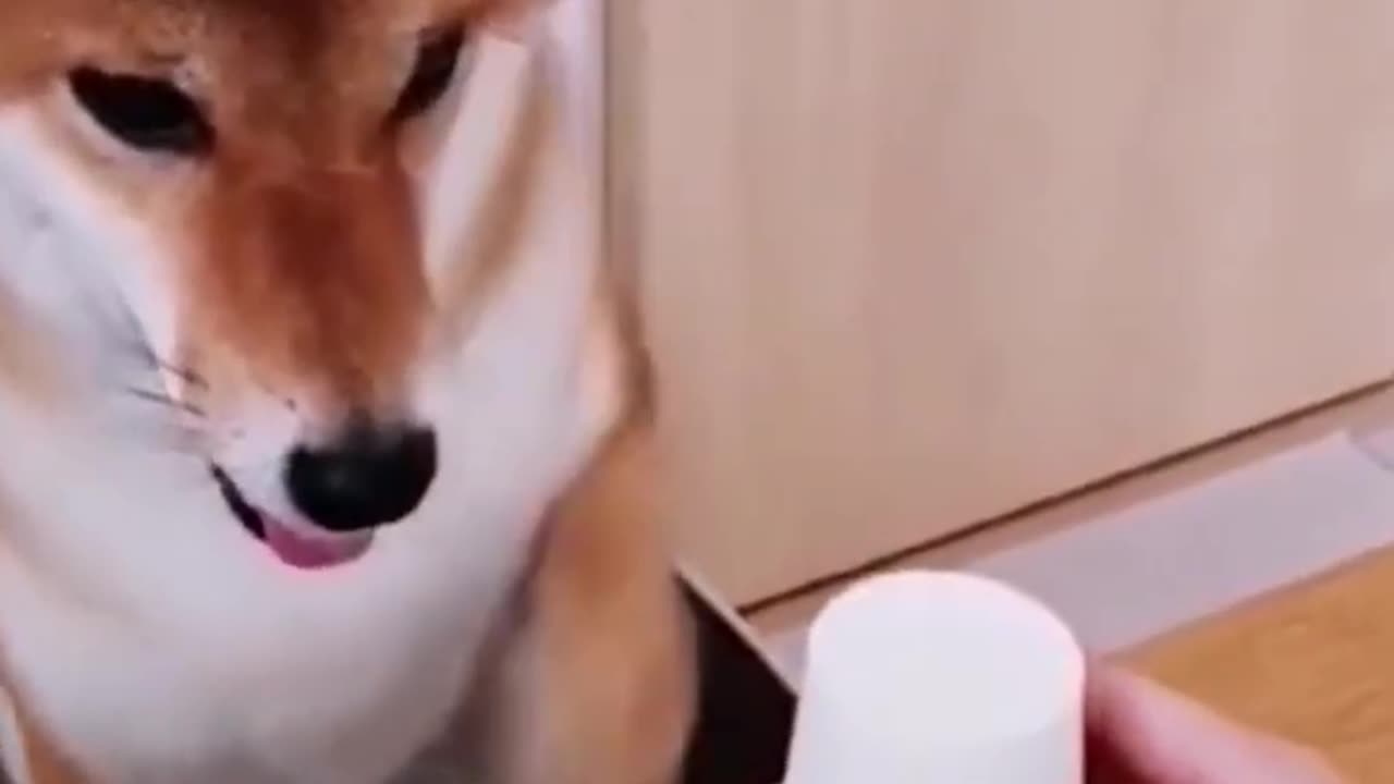make name and description variations for this video