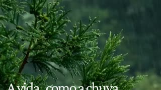 josecunha.pt