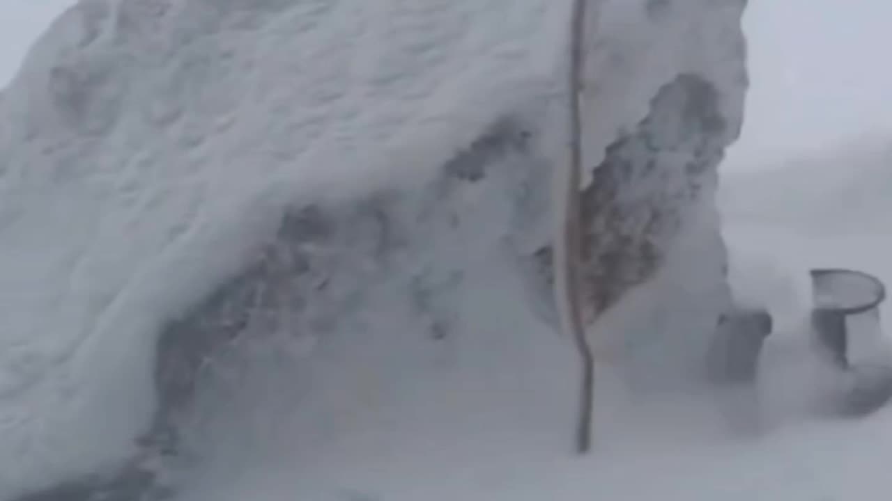 🇷🇺 Anomalous Snowfall in the Caucasus ❄️