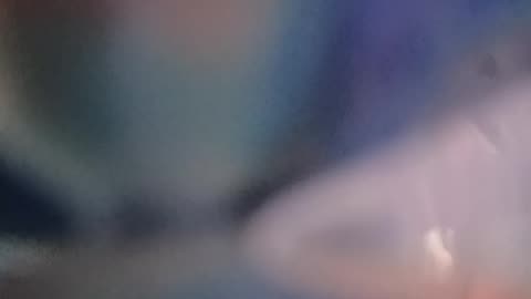 I l9ve these colours