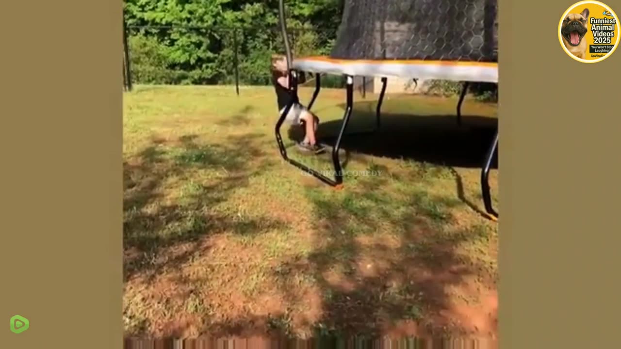 🤣 Try Not to Laugh Challenge 2 | April’s Funniest Fails 2025! | GoViralComedy