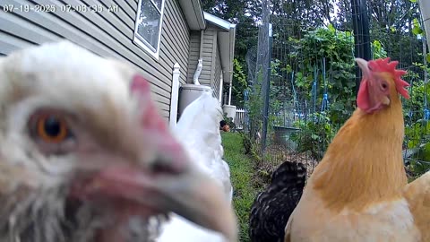 Extreme Close Up!