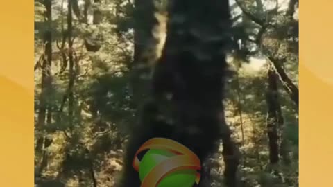 Found this creature and still haven’t figured out if it’s real or from a dream… 🌌👀