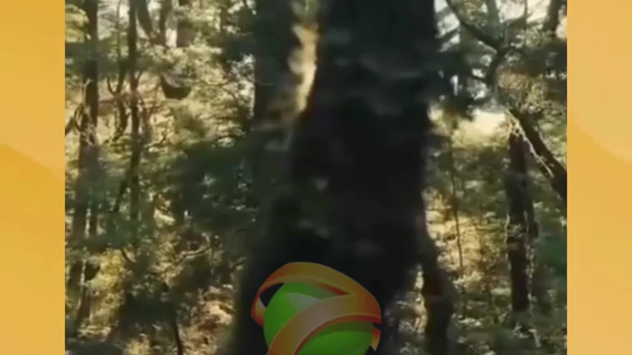 Found this creature and still haven’t figured out if it’s real or from a dream… 🌌👀