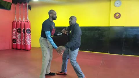 Vee Jitsu