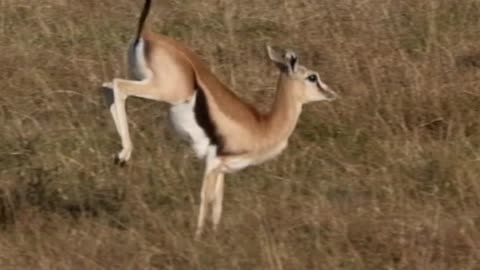 Remember the Real Power is Inside of You