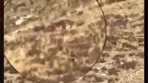 😨👻 Terrifying Paranormal Activity Caught on Camera! | TheHauntingHour