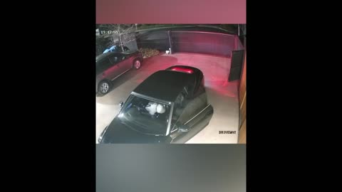 Two would be thieves have had a ruff night after a Melbourne homeowner gave them the fright of their